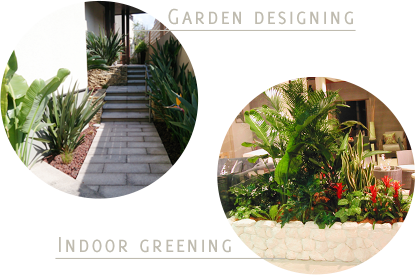 ガーデンデザイニング　インドアグリーニング